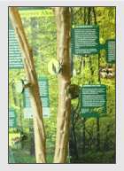 Für die Leseprobe bitte klicken