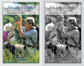 Vorschaubild : Buchcover