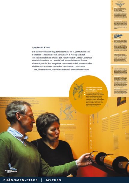 Leseprobe : Noctalis Nr.4